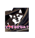 柴犬フェイフォン（個別スタンプ：5）