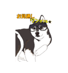柴犬フェイフォン（個別スタンプ：7）