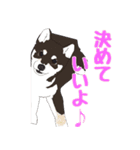 柴犬フェイフォン（個別スタンプ：8）