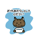 猫の同居人（個別スタンプ：6）