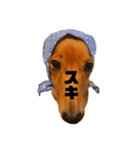 むぎっくす（個別スタンプ：14）