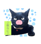 でぶにゃんこ Meiちゃん（個別スタンプ：1）