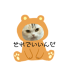 ココニャン（個別スタンプ：4）