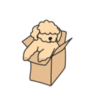 素晴らしいドンドン（個別スタンプ：15）