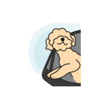 素晴らしいドンドン（個別スタンプ：16）