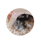 かわいい♡もこもこ♡スタンプ（個別スタンプ：4）