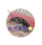 かわいい♡もこもこ♡スタンプ（個別スタンプ：6）