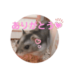 かわいい♡もこもこ♡スタンプ（個別スタンプ：10）