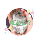 かわいい♡もこもこ♡スタンプ（個別スタンプ：23）
