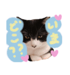 いろいろなめりー（個別スタンプ：8）