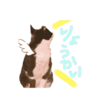 いろいろなめりー（個別スタンプ：10）