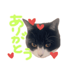 いろいろなめりー（個別スタンプ：14）