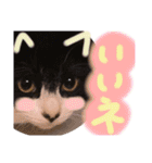 いろいろなめりー（個別スタンプ：18）