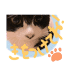 いろいろなめりー（個別スタンプ：20）