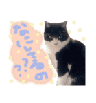 いろいろなめりー（個別スタンプ：21）