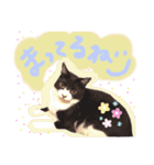 いろいろなめりー（個別スタンプ：23）