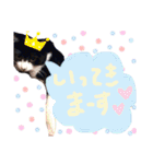 いろいろなめりー（個別スタンプ：27）