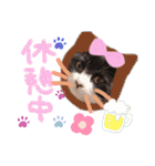 いろいろなめりー（個別スタンプ：28）