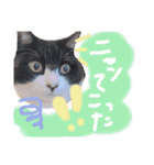 いろいろなめりー（個別スタンプ：29）