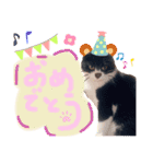 いろいろなめりー（個別スタンプ：30）