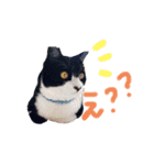 いろいろなめりー（個別スタンプ：31）