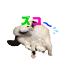 猫のもふさんスタンプその2（個別スタンプ：7）