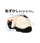 猫のもふさんスタンプその2（個別スタンプ：24）