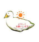 リッチョだよ（個別スタンプ：7）