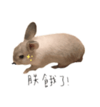 小さなパンの日常（個別スタンプ：2）