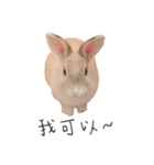 小さなパンの日常（個別スタンプ：7）