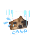 ママ友と日常で使えそうなスタンプ！（個別スタンプ：5）