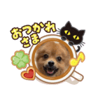 ママ友と日常で使えそうなスタンプ！（個別スタンプ：9）