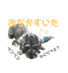 るースタンプʕ•ᴥ•ʔ（個別スタンプ：4）