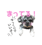 るースタンプʕ•ᴥ•ʔ（個別スタンプ：6）