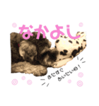 るースタンプʕ•ᴥ•ʔ（個別スタンプ：9）