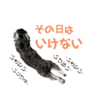 るースタンプʕ•ᴥ•ʔ（個別スタンプ：11）