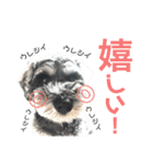 るースタンプʕ•ᴥ•ʔ（個別スタンプ：14）