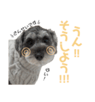るースタンプʕ•ᴥ•ʔ（個別スタンプ：20）
