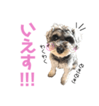 るースタンプʕ•ᴥ•ʔ（個別スタンプ：21）
