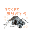 るースタンプʕ•ᴥ•ʔ（個別スタンプ：22）