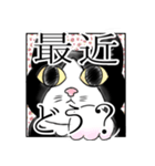 うちの、はちわれねこスタンプ。（個別スタンプ：2）
