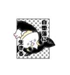 うちの、はちわれねこスタンプ。（個別スタンプ：4）