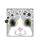 うちの、はちわれねこスタンプ。（個別スタンプ：5）