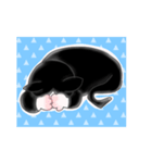 うちの、はちわれねこスタンプ。（個別スタンプ：7）