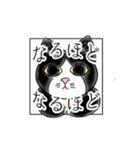 うちの、はちわれねこスタンプ。（個別スタンプ：8）