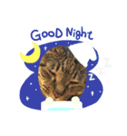 うちのにゃんこが言うことにゃ（個別スタンプ：21）