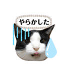 ココタンとチュロ（個別スタンプ：5）