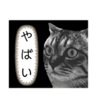 ココタンとチュロ（個別スタンプ：10）