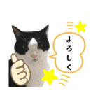 ココタンとチュロ（個別スタンプ：11）