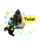 ココタンとチュロ（個別スタンプ：14）